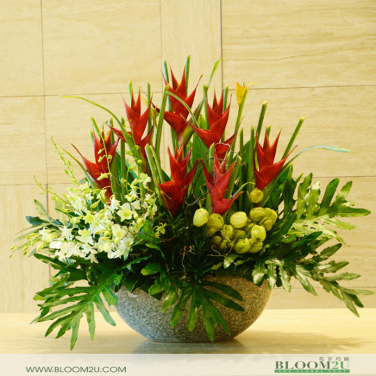 Tropical F\flower arrangement