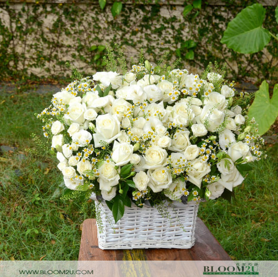white roses basket delivery