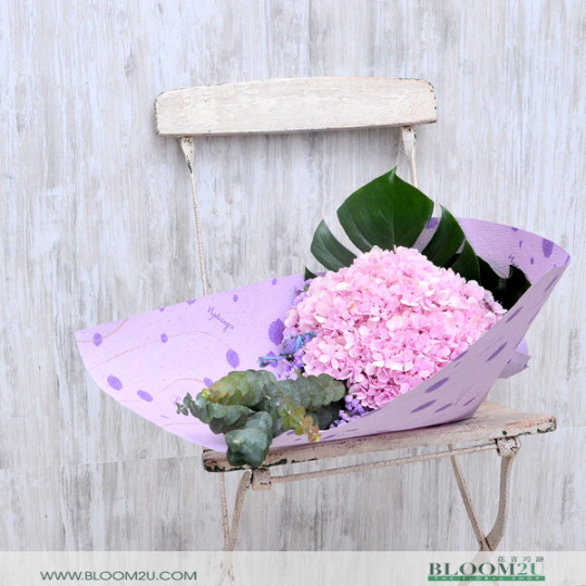 Hydrangea Hand Bouquet